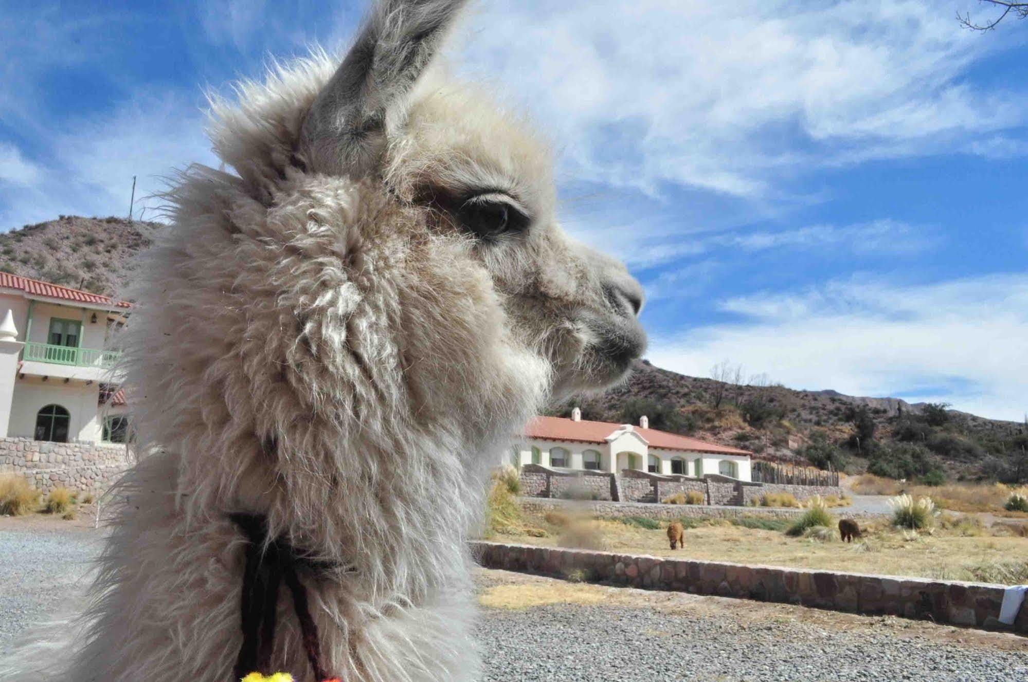 Hotel Huacalera Kültér fotó